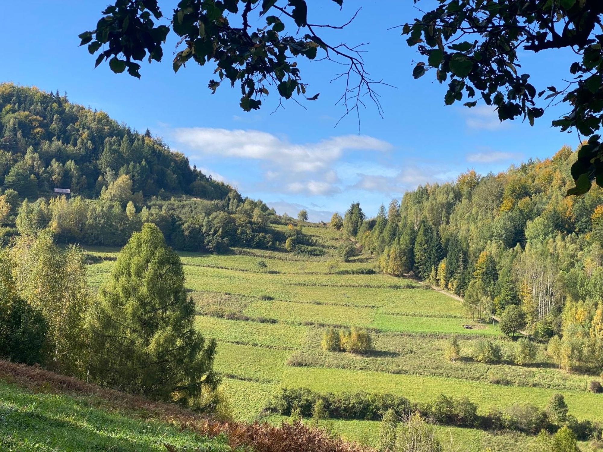 Domki Z Dostepem Do Spa I Restauracji Łapsze Niżne Extérieur photo